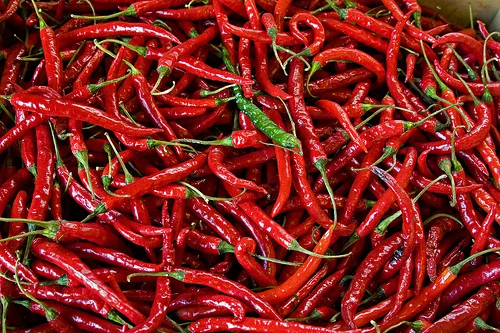 Capsicum Annuum (Cayenne Pepper)