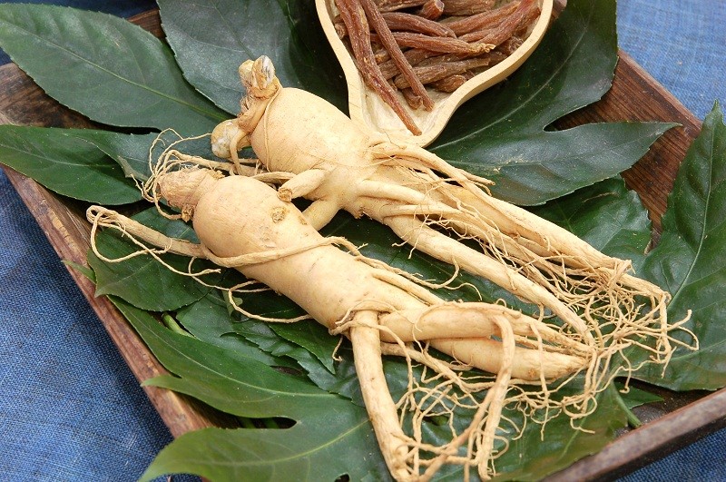 Panax Ginseng & Eleuthero Root